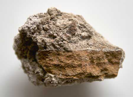 Tufa deposited on a piece of sandstone