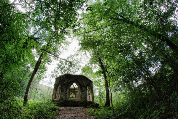 Fishers Hall in an arch of trees © Guy Carpenter 2010 Fishers Hall