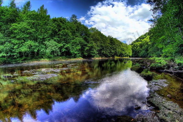 River Ure at Hackfall © Guy Carpenter 2010 River Ure