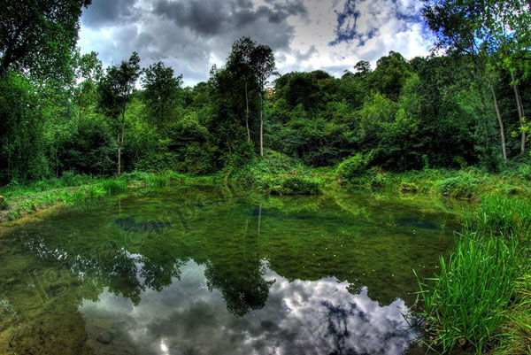Fountain Pond reflections © Guy Carpenter 2010 Fountain Pond reflections