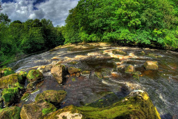 River Ure at Hackfall © Guy Carpenter 2010 River Ure